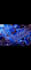 tutor you in microelectronics design and analysis