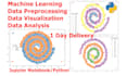 do data preprocessing, data visualization, analysis in jupyter notebook, python