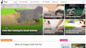 develop content rich, adsense ready website