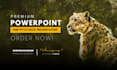 design professional powerpoint presentation
