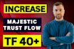 increase url trust flow tf 40 plus with high quality link