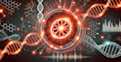 reveal your maternal ancestry through mitochondrial analysis