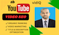 do the best youtube video SEO expert