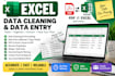 sql excel expert data entry data cleaning pivot table