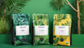 design premium coffee packaging, pouch, bags and labels
