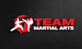 design professional martial arts logo