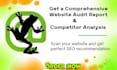 do screaming frog technical SEO audit report and website analysis
