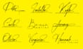design signature, handwritten, scripted logo