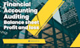 expert in accounting and finance, auditing, and balance sheet