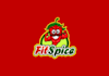 design elegant and flawless fit spice logo