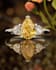 create realistic jewelry animation in 3d