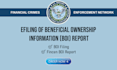 efile your boi fincen report
