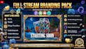 design twitch package, logo, stream overlay, animated alerts, screens and panels