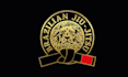 design professional jiu jitsu logo