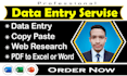 do data entry, copy paste, web research and PDF convert