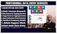 do data entry, copy paste, data collection, data mining, and pdf to excel