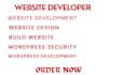 provide you professional web development service