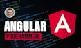 develop professional angular websites