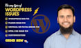 fix wordpress website error, issue within 24 hours