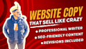write website content and website copy as a copywriter