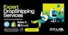 expert dropshipping services for ecommerce stores wordpress shopify ecwid