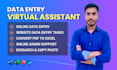 do virtual assistant data entry and admin tasks