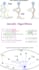 do genetic algorithms, aco, pso optimization in one day
