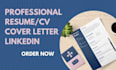 provide professional resume writing service