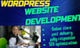 design and develop a professional wordpress website and blog
