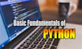 teach you the basic of python programming language