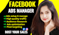 be your facebook ads manager expert