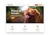 be your website designer and web developer