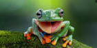 upscale images to 4k with enhanced sharpness and vibrant colors