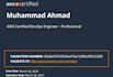 be your AWS cloud architect and consultant  devops engineer