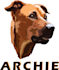 vectorize your puppy into eye catching artwork