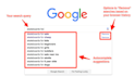 launch your keyword for google autocomplete, bing autosuggestion, local seo