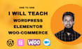 be your wordpress tutor elementor tutor or instructor as an elementor expert