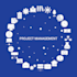 ecommerce project management manager