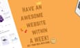 build custom portfolio, organization or business website