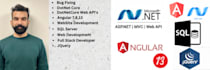 fix bugs dotnet angular make website and web development with API