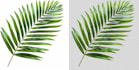 change bg, transparent bg and upscale your image upto 6x
