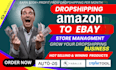 do amazon to ebay dropshipping