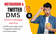 send instagram and twitter dms or direct message services for you