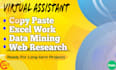 do data entry, web research, copy paste