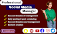 be your monthly social media manager