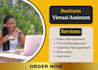 be your professional executive virtual assistant