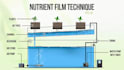 collaborate teams to integrate nft
