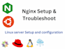 expert linux, nginx, mysql, cpanel, plesk dns troubleshooting