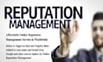 do online reputation management for brand and product, ORM and reverse SEO