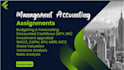 do accounting and finance, financial analysis, valuation and optimization report